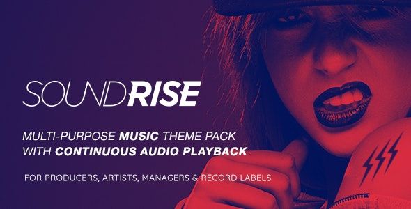 SoundRise v1.5.7 - Artists, Producers and Record Labels Theme