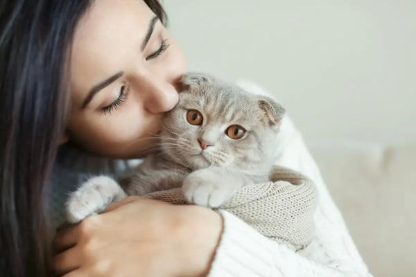 Мартовские коты: пора любви или время доставать беруши? Контрацепция для кошек, гормональные препараты